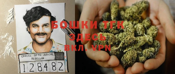 прущий лед Арсеньев