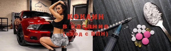 молекула духа Алексин